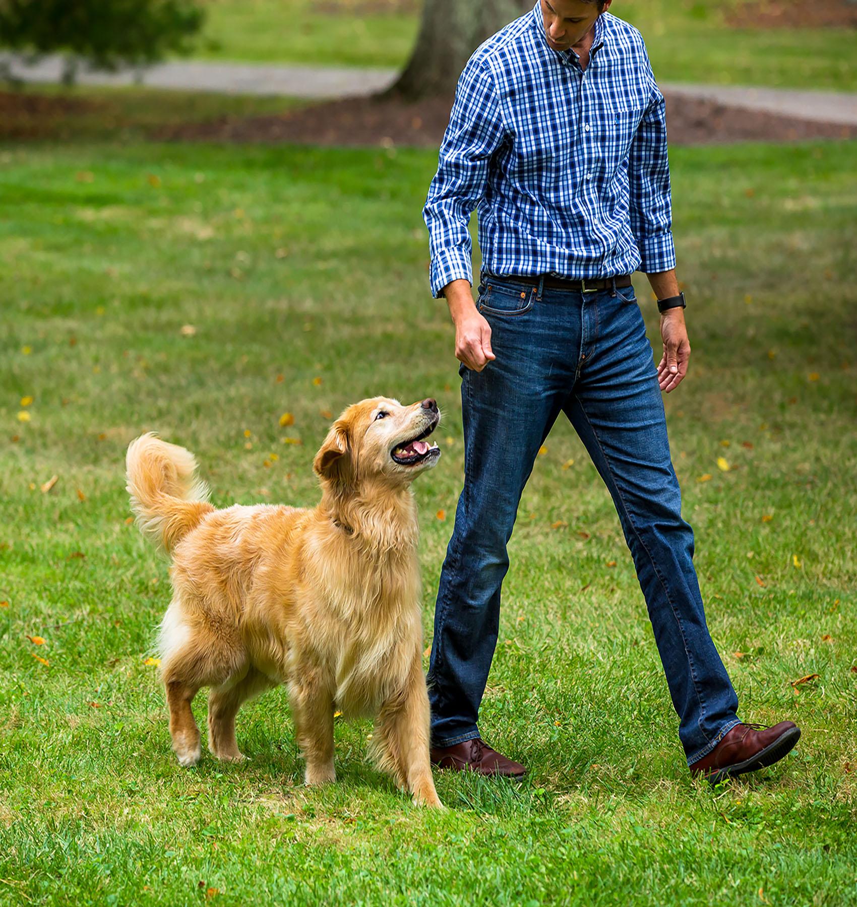 Derby´s Pet Fence Louisville, Lexington & Southern Indiana's #1 & Best  Electric Dog Fence Company